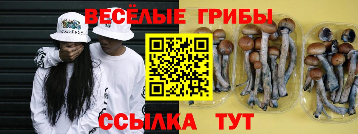 Псилоцибиновые грибы Magic Shrooms  Вход с VPN  как найти закладки  Алейск 